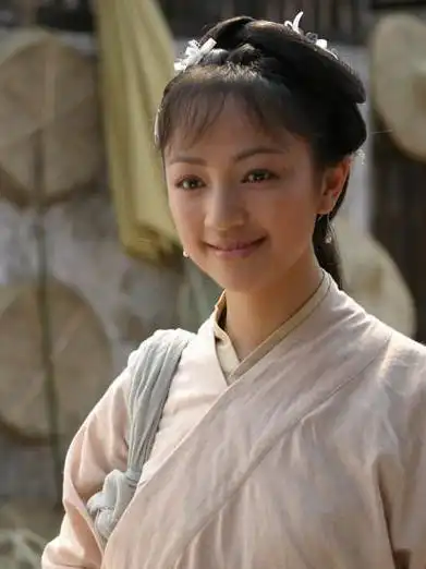 大宋提刑官剧照大全