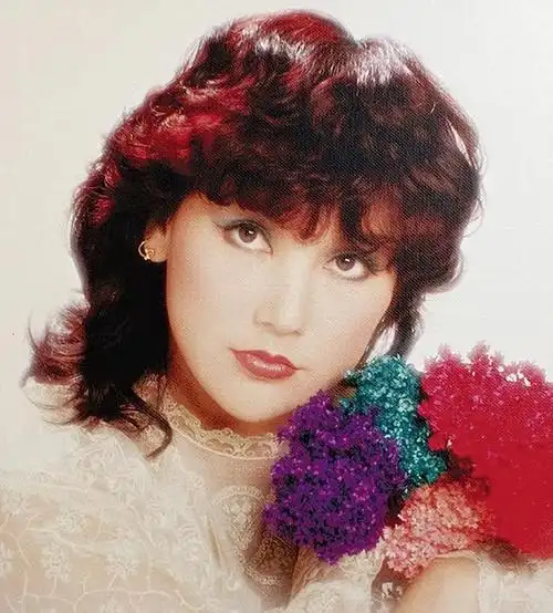 郑裕玲年轻时的旧照(接受不了"美人迟暮"的女星) - 帮企客