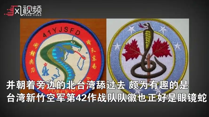解放军驻福建空军臂章现眼镜蛇图案蛇信直压台北