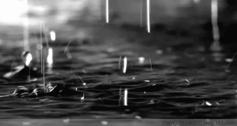 500_266gif 动态图 动图