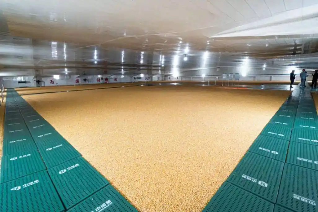 大国粮仓长啥样走进中储粮营口直属库