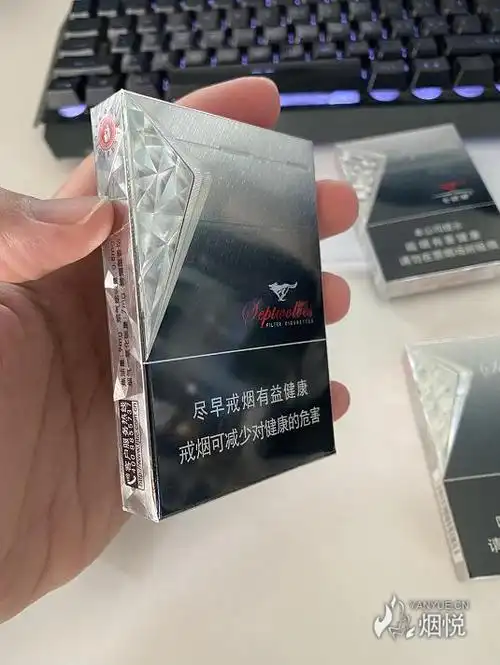 中支银狼七匹狼银中支