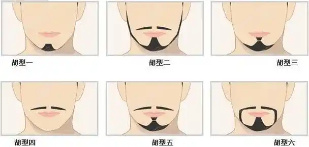 胡须的类型图