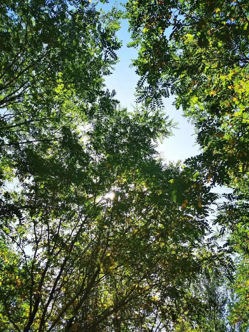 设计师 阳光干净的微信头像-搜狗图. . 16:35  - 抖音