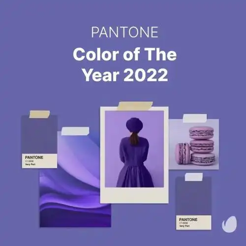 pantone潘通发布2022年度流行色