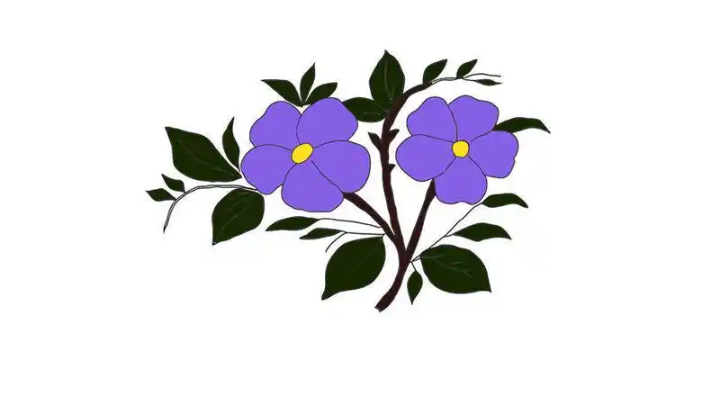 紫罗兰简笔画的画法