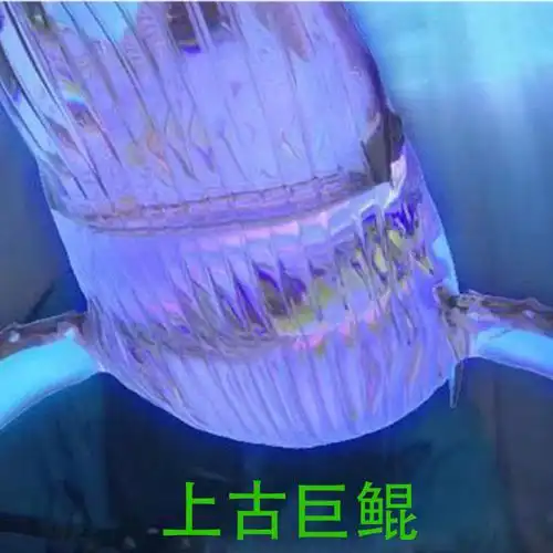 酷狗繁星直播礼物古巨月光之城浪漫气球初次其他游戏软件平台