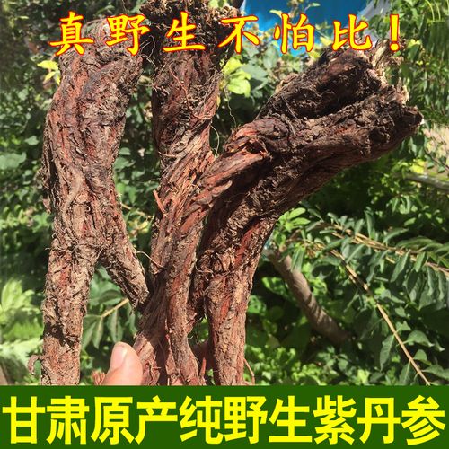 甘肃野生丹参中药材野生500g克正品特级紫丹参片泡茶水可打粉包邮