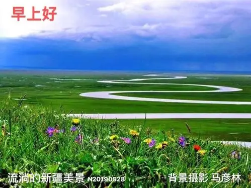 "早上好"背景摄影图片欣赏