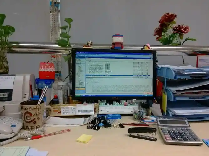 阴雨的天气,凌乱的办公桌,糟糕-妖精想养猫