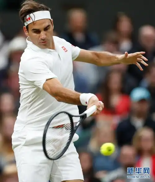 温网:费德勒晋级八强
