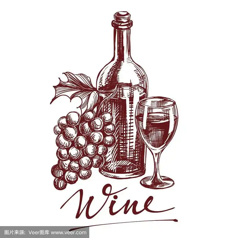 收藏葡萄酒手绘矢量插画
