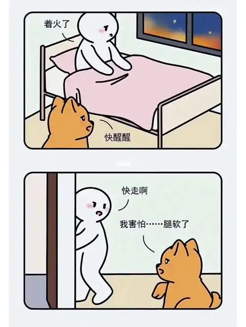 你们都养了什么狗狗