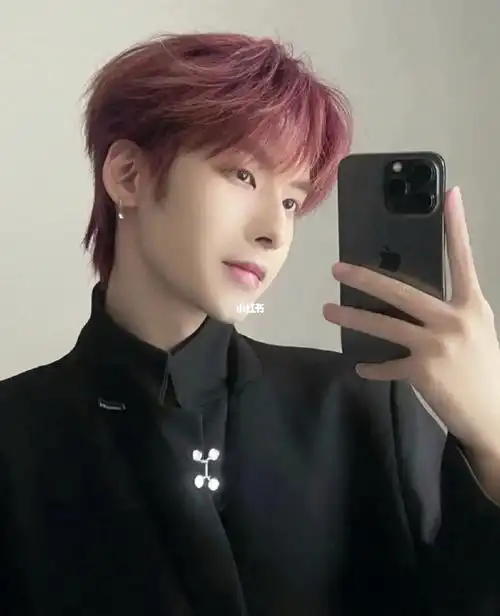 男生显白发色推荐树莓红