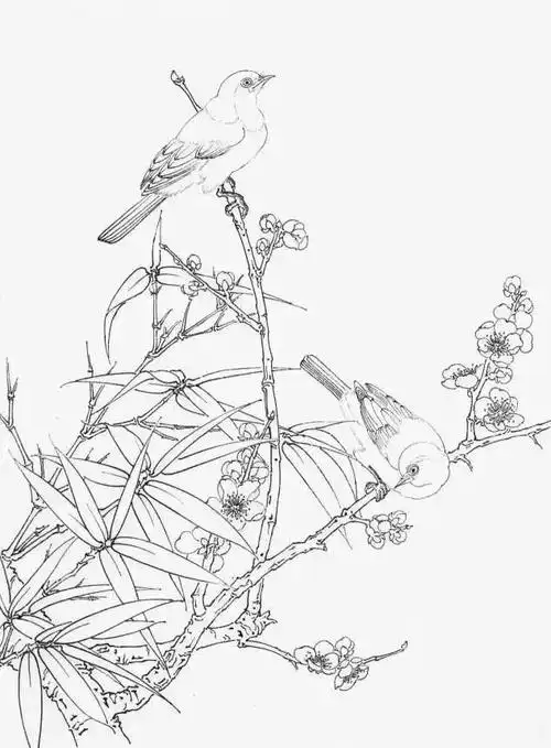 教程| 五步画出工笔梅花