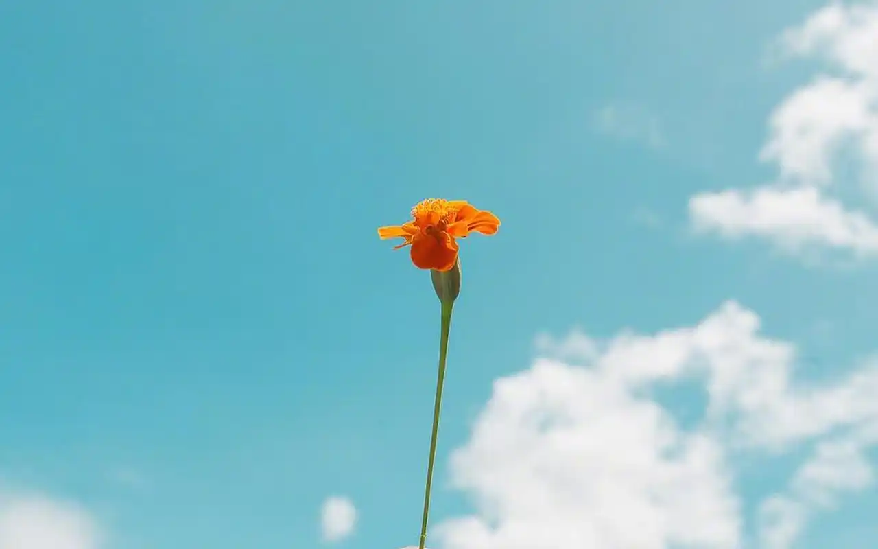 蓝天下的风景图片桌面电脑壁纸