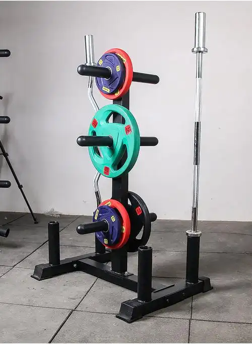 杠铃片架杠铃杆架大孔杠铃片存储架奥杆收纳架家用商用健身器材