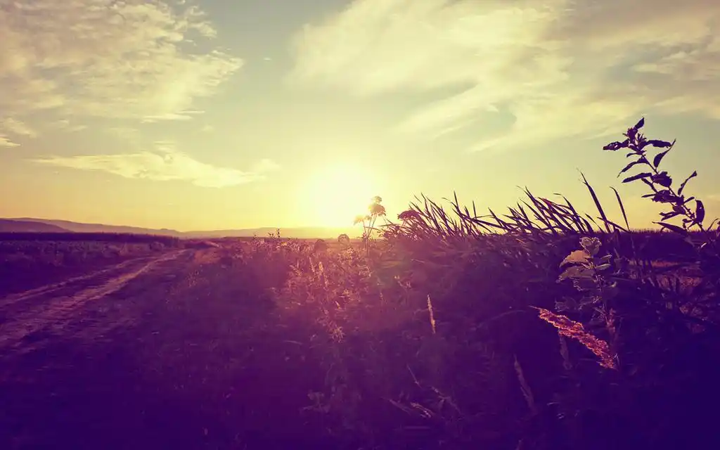 首页 电脑壁纸 烂漫的秋天唯美意境