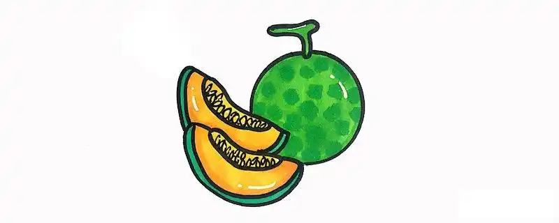 哈密瓜怎么画水果简笔画哈密瓜简笔画教程