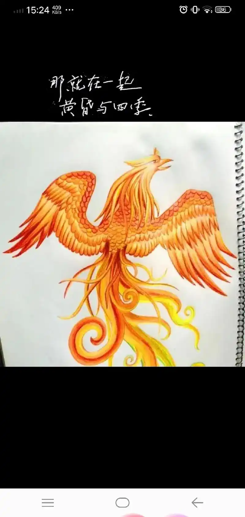 凤凰的几张图画你喜欢哪种呢下面全部都是画的 - 抖音