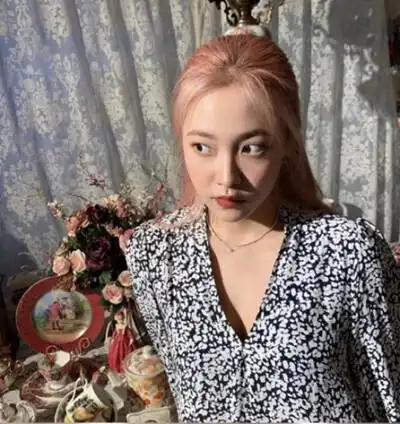 裴珠泫椰梨头像