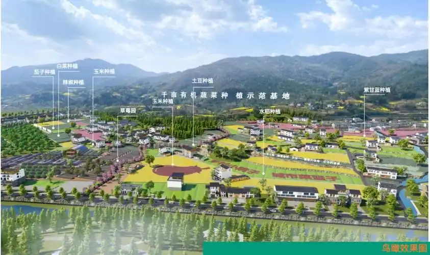 【乡村振兴在行动】杉林湾村:科学规划引领乡村振兴