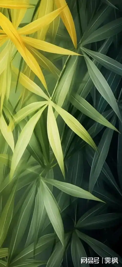 绿色壁纸追求绿色时尚走向绿色文明