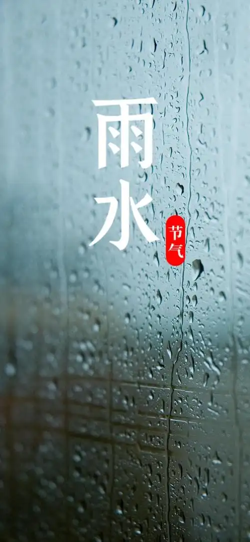 传统节气之雨水