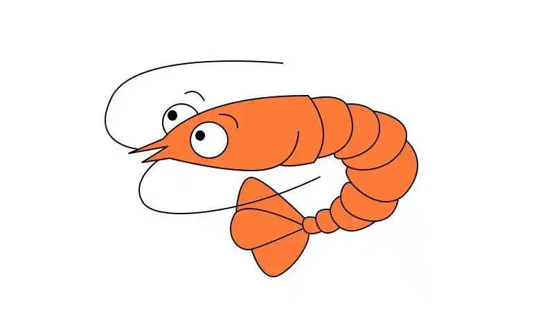 3,再画虾的尾巴和胡须;2,然后画虾的身体线条;1