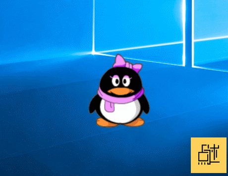 qq宠物下月要停服了,你有多久没去看过你的宠物了