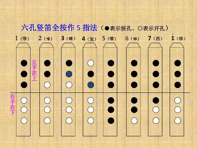 北羊台学校杜玉波音乐课件竖笛的指法ppt