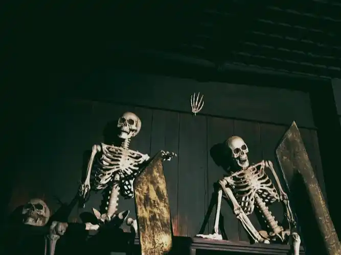 只在鬼屋门口拍了两张图片吧当时