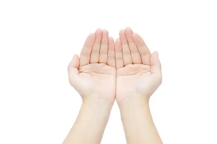 白底手势人物手势托起手势单手托起