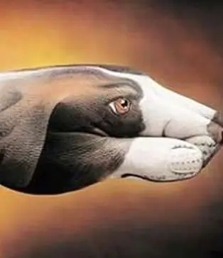 以假乱真的手绘"动物"