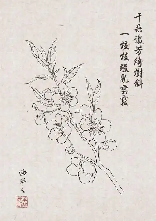 ipad画画白描桃花