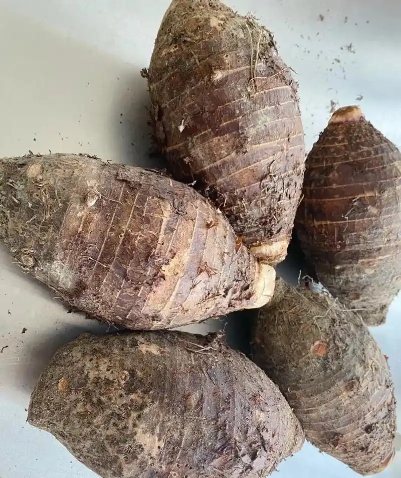 每天新鲜荔浦芋头现蒸现做6015.