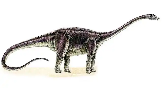 p>梁龙(学名:diplodocus),是梁龙科下的一属 a href="#" data-lemma