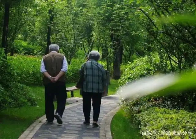 你多久没注视过父母的背影了?