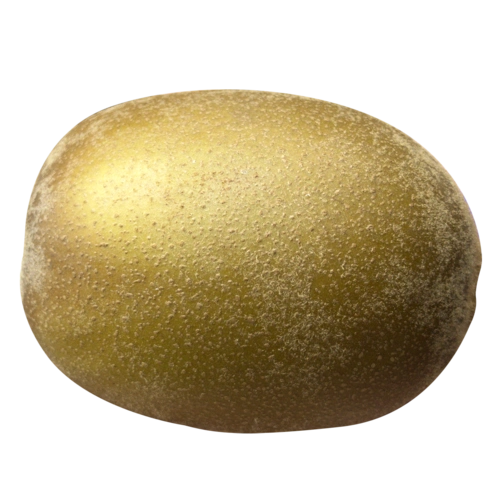 奇异果猕猴桃水果实物免抠png素材