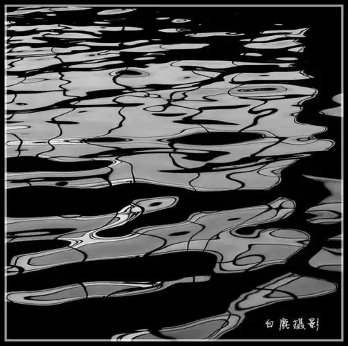 一组黑白水波纹,表现抽象美!  举报引用
