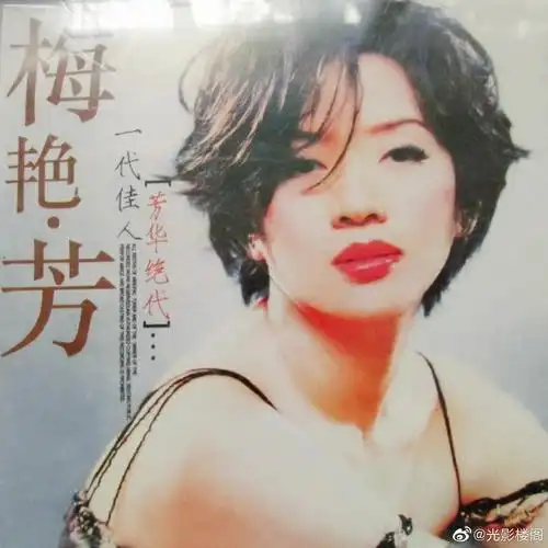 梅艳芳 anita mui的图片
