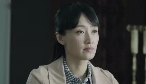 跨界成功的赵琳,凭《人民的名义》证明了演技|央视|赵子琪|赵琳_新浪