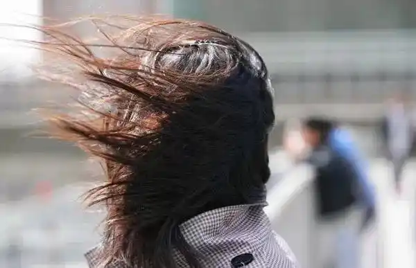 东莞轻易不刮风,刮起来让你散着头发的分不出正反面!