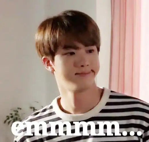 防弹少年团表情包金硕珍jin