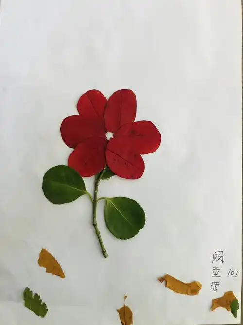 多彩秋天——江一小103树叶画展示