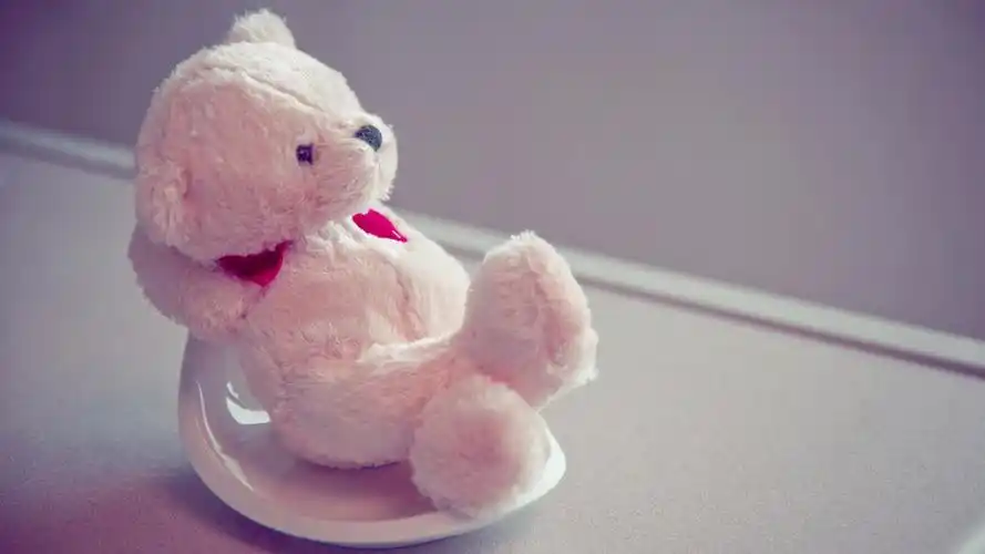 毛茸茸的泰迪熊壁纸_可爱壁纸_墨鱼部落格