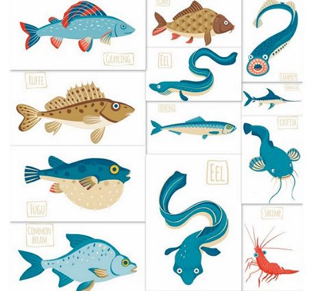 手绘海洋鱼类主题大龙虾主题插图元素背景图案 eps矢量设计素材