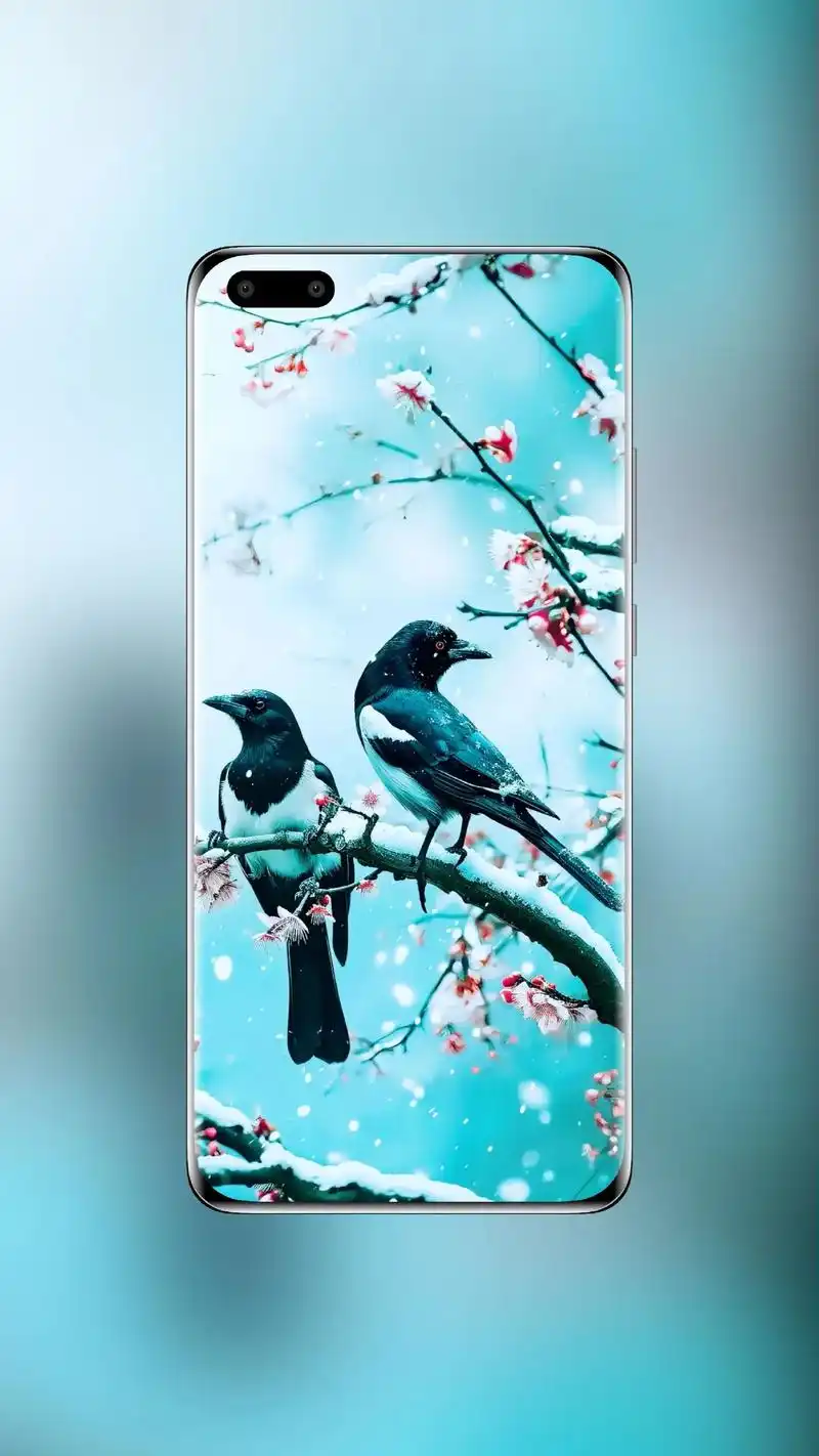 灵鹊落何处,梦醒而回归 #古风 #喜鹊#梅花 - 抖音