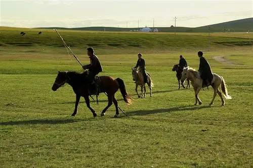 草原上的年轻人