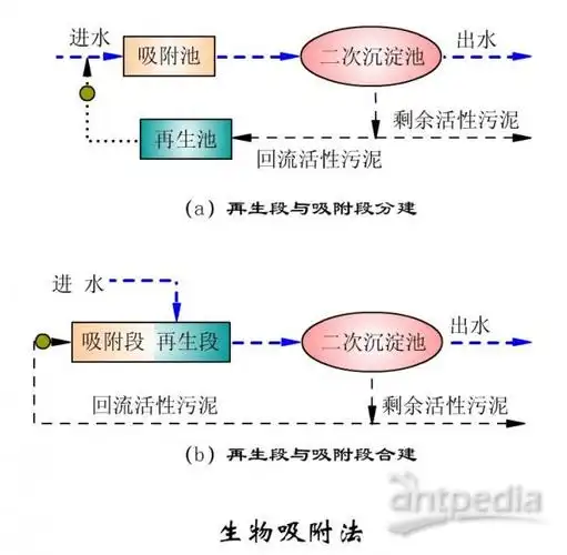 生物吸附法(2)|生物吸附法 - 分析行业新闻